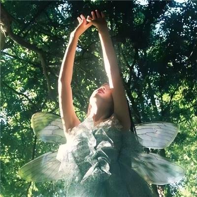 少年黄飞鸿之铁马骝